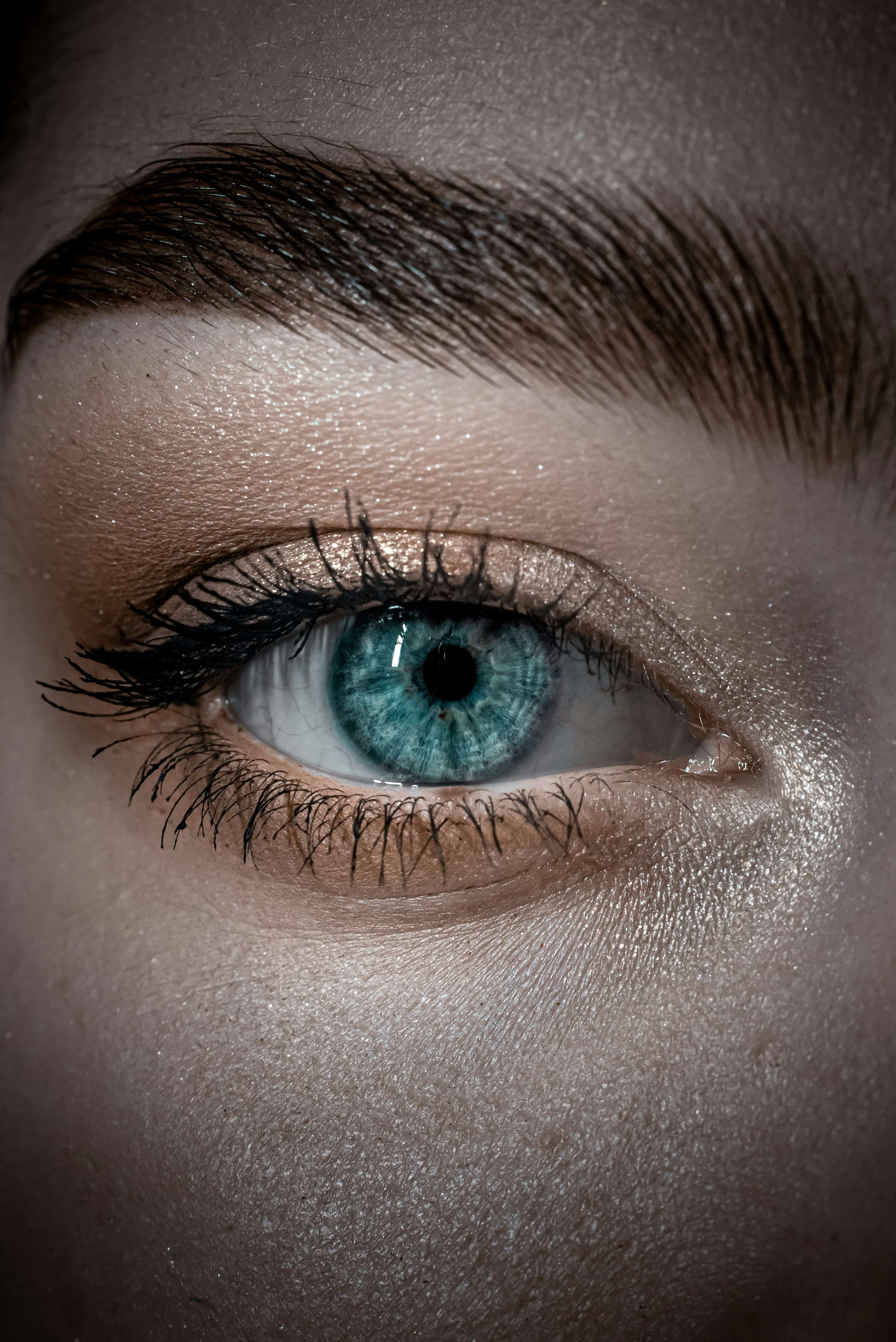 Lash & Brow Lift – kompletan vodič za prirodno podignute trepavice i obrve
